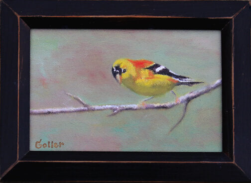 ***SOLD*** Carrie Goller - Goldie - 4x6 oil, original, framed