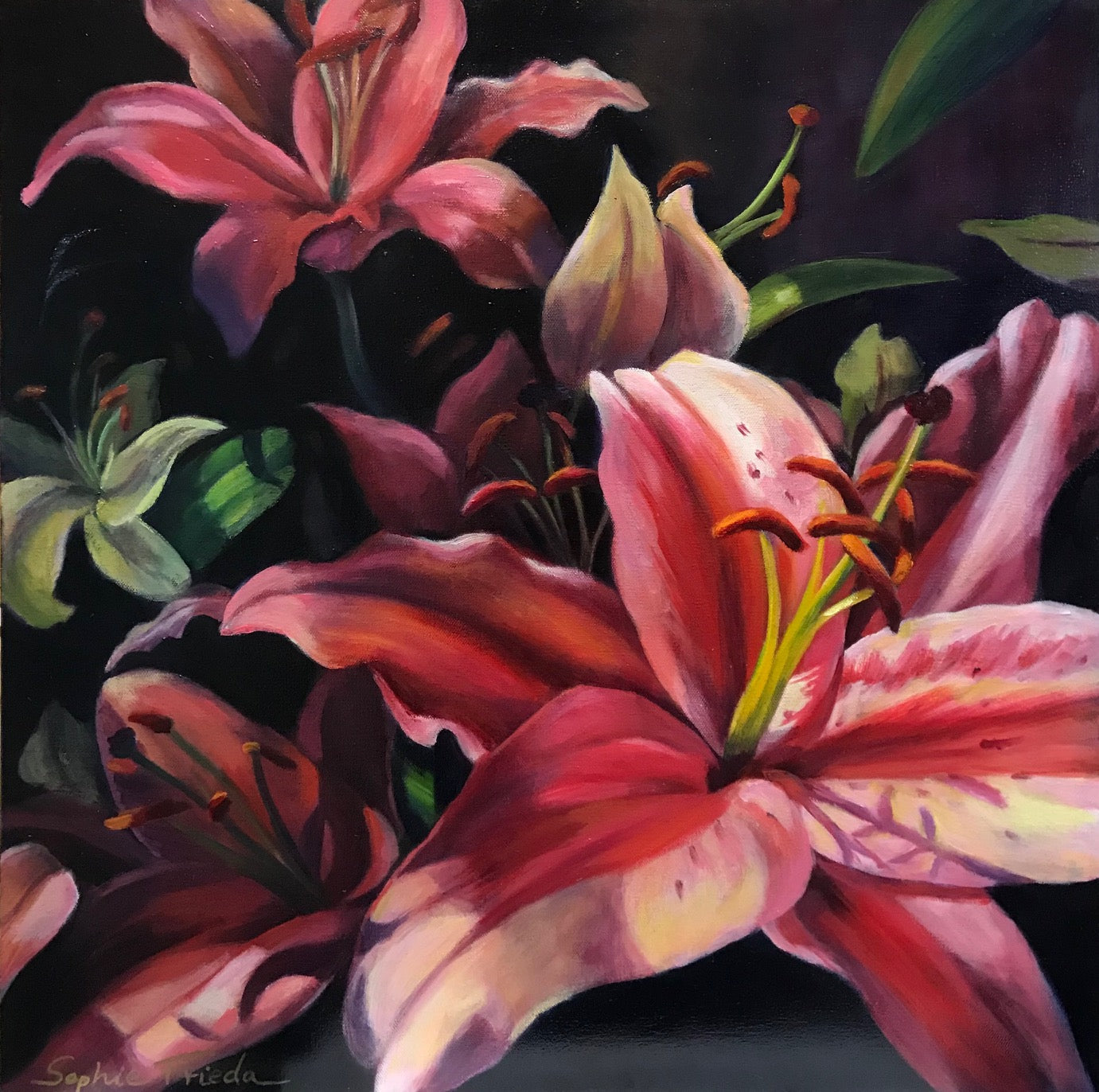 Prints available, original ***SOLD*** SOPHIE FRIEDA - Graceful - Oil on Gallery Wrapped Canvas - 24 x 24 x1.5