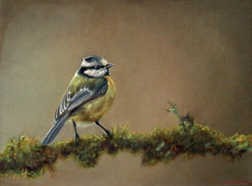 Prints available, original ***SOLD*** CARRIE GOLLER - Grayson, oil on canvas 12x16