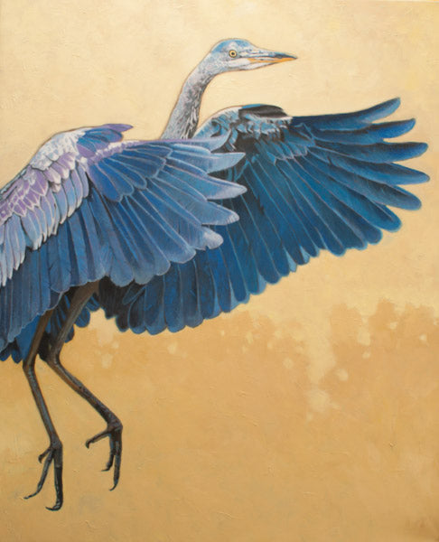 Prints available, original ***SOLD*** MAX HAYSLETTE - Great Blue Heron, oil & mixed media 40x28