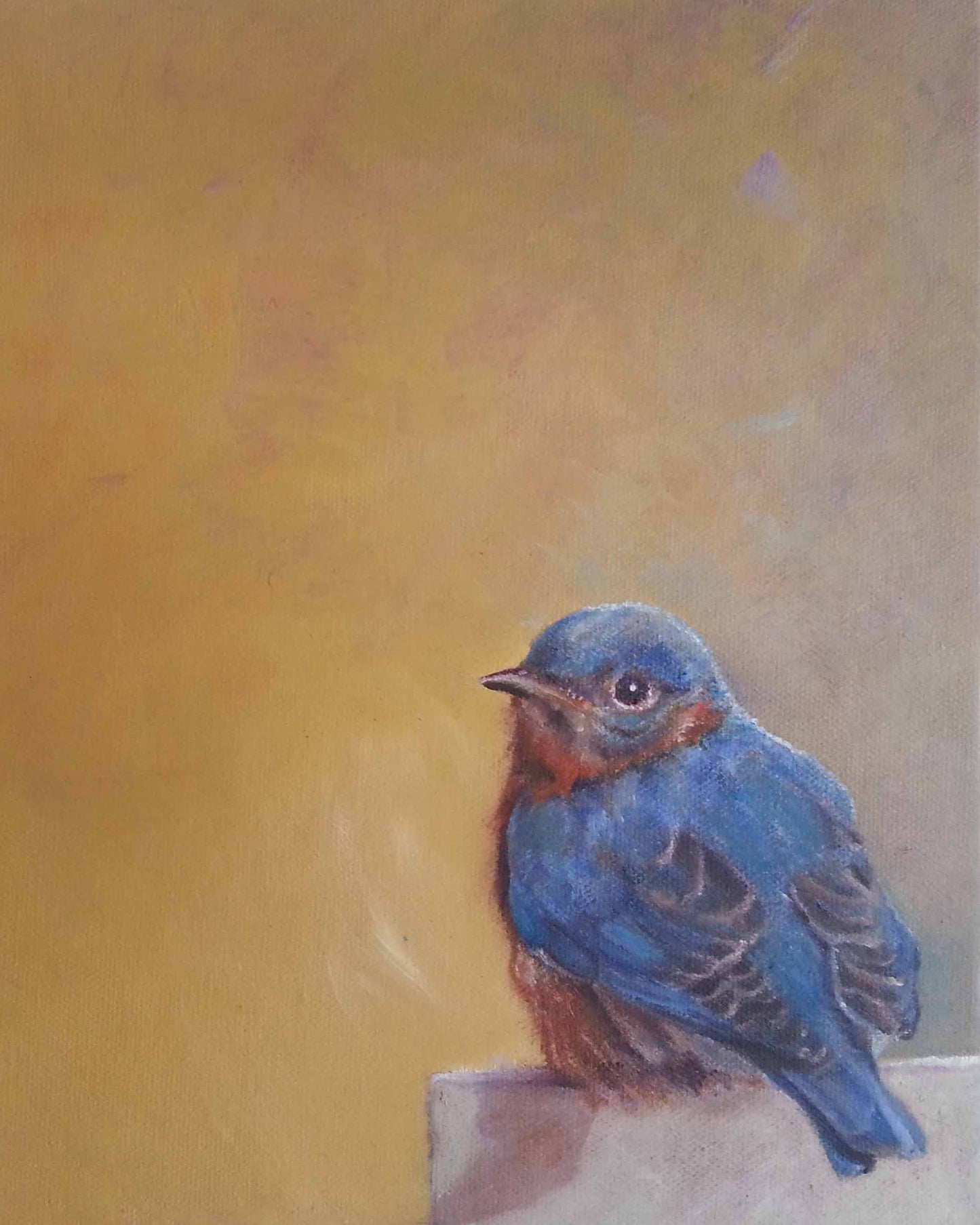 CARRIE GOLLER PRINTS - BIRDS - GUILTY  original oil, 10x8