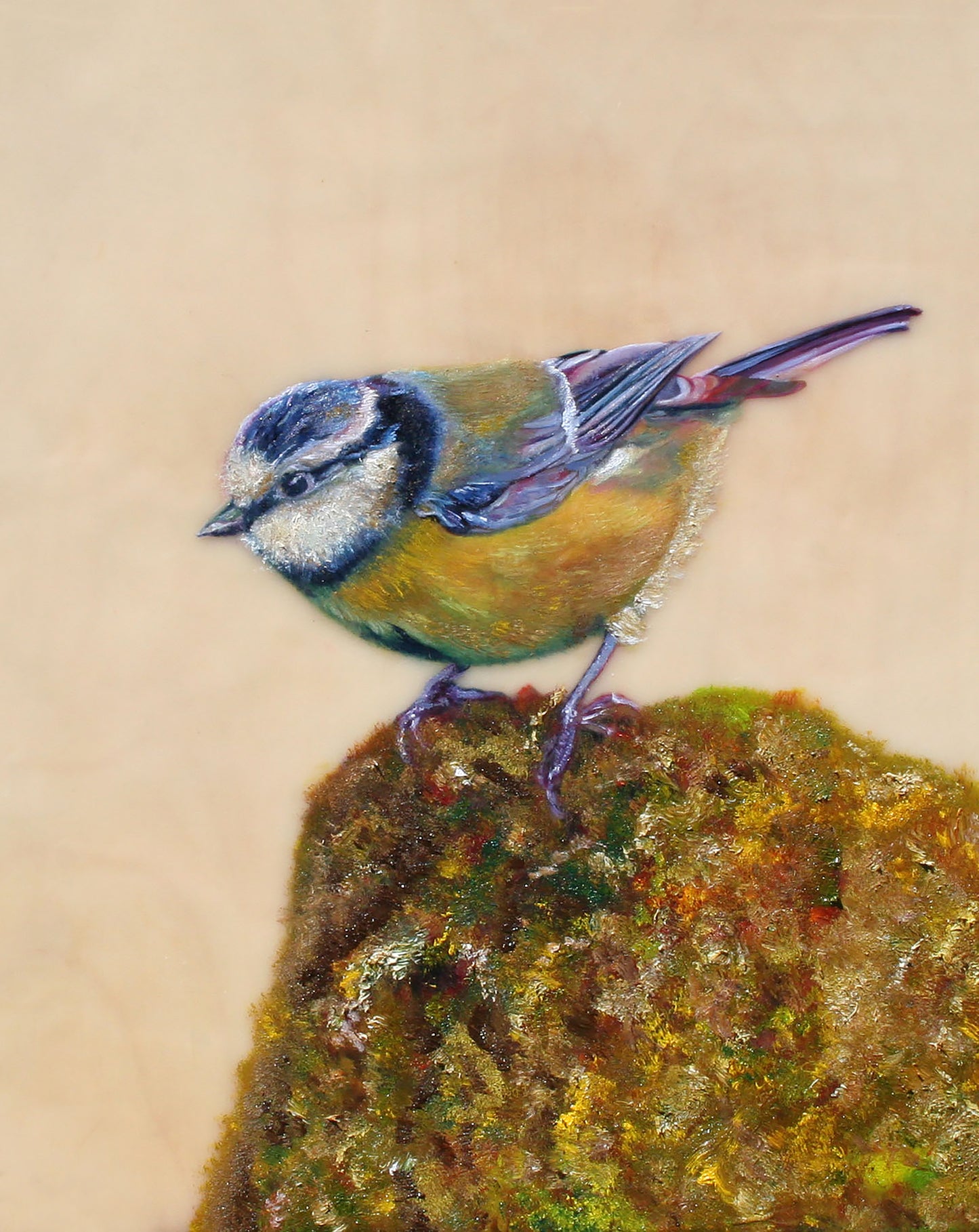 CARRIE GOLLER PRINTS - BIRDS - HALFPINT    original oil/encaustic, 8x10