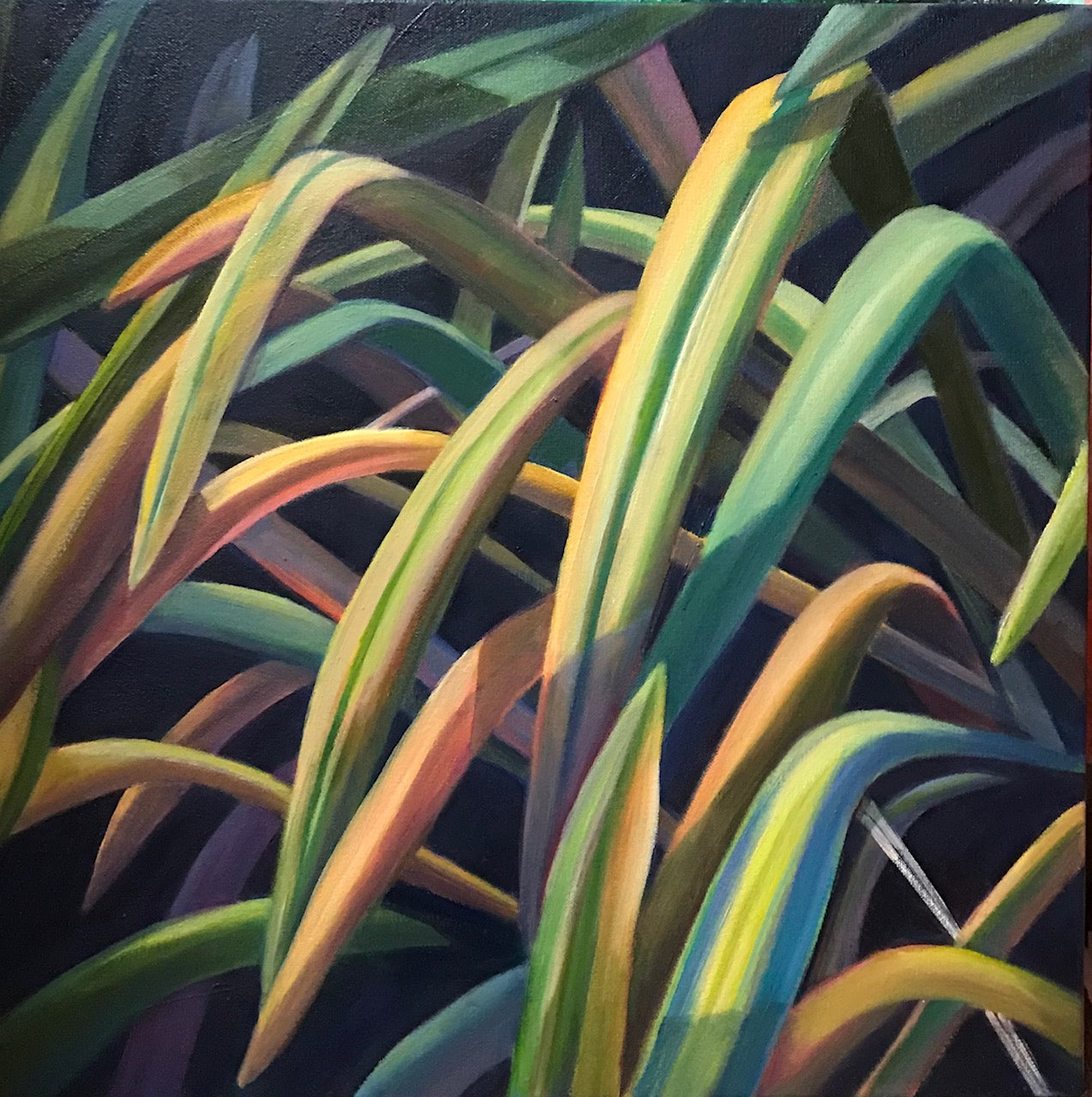 ***SOLD*** SOPHIE FRIEDA - Harmony - Oil on Gallery Wrapped Canvas - 20x20