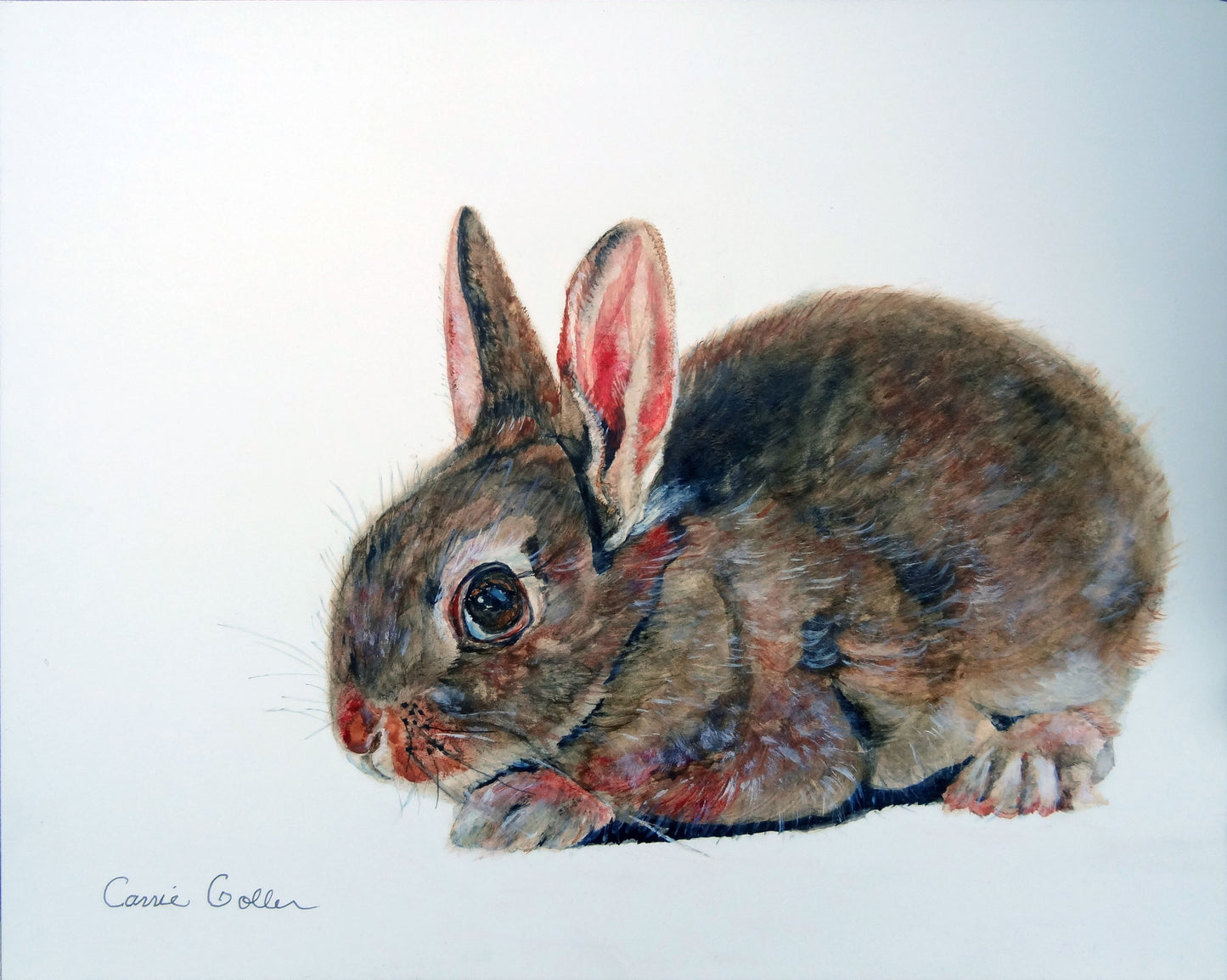 Custom : Creature Portraits by Carrie Goller