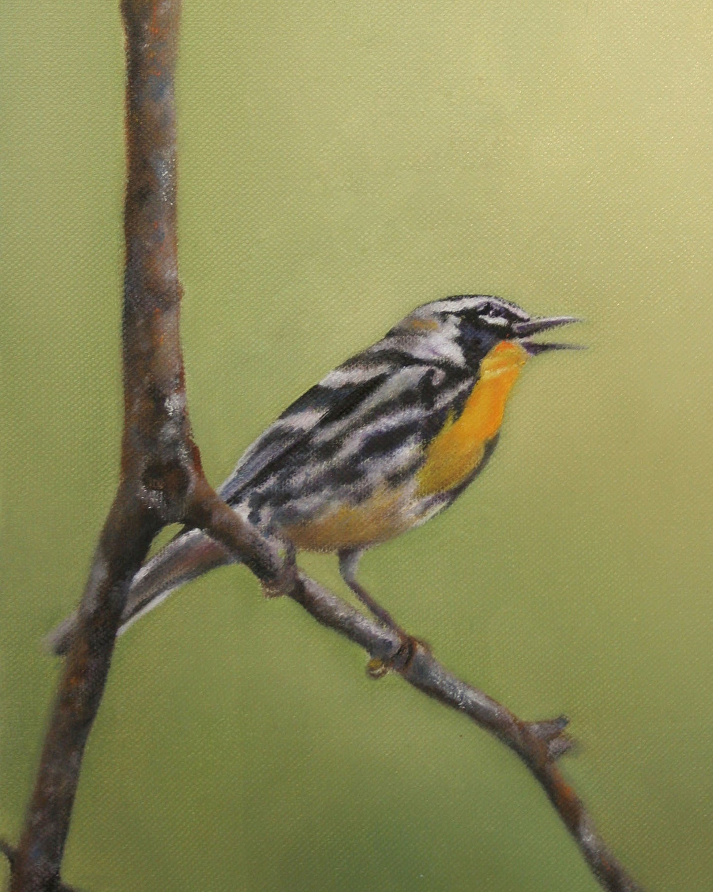 CARRIE GOLLER PRINTS - BIRDS - HYPERION  original oil, 8x10