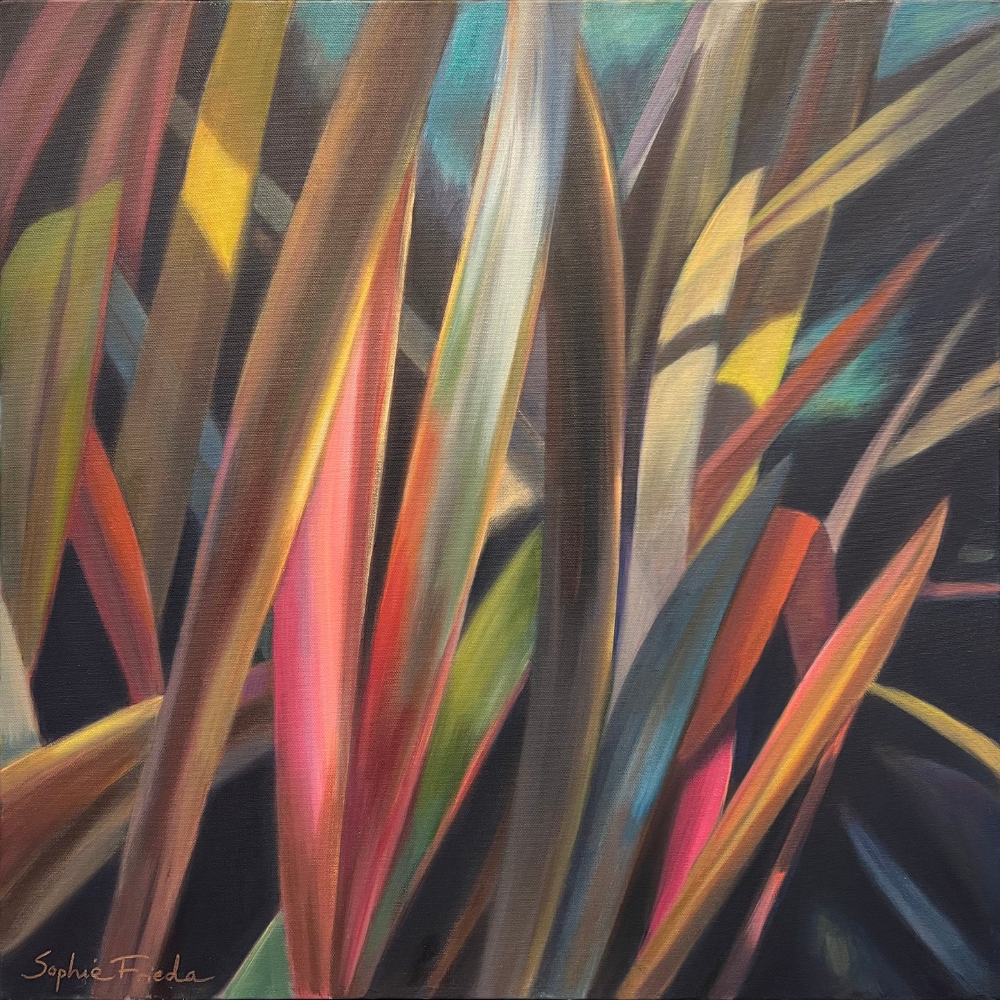 SOPHIE FRIEDA - Evening Glow, Oil on canvas 24x24