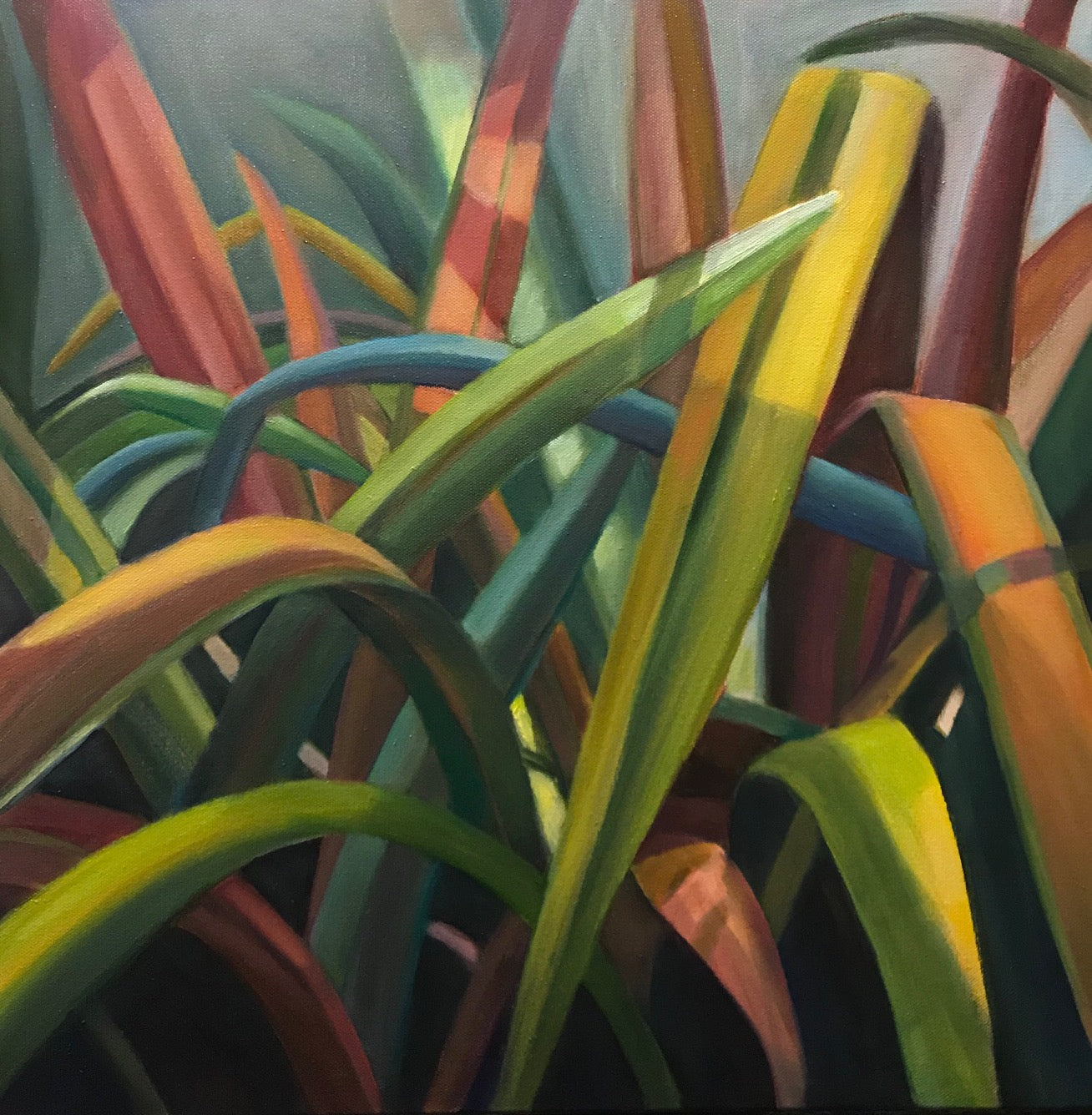 ***SOLD*** SOPHIE FRIEDA - Charisma - Oil - 20x20