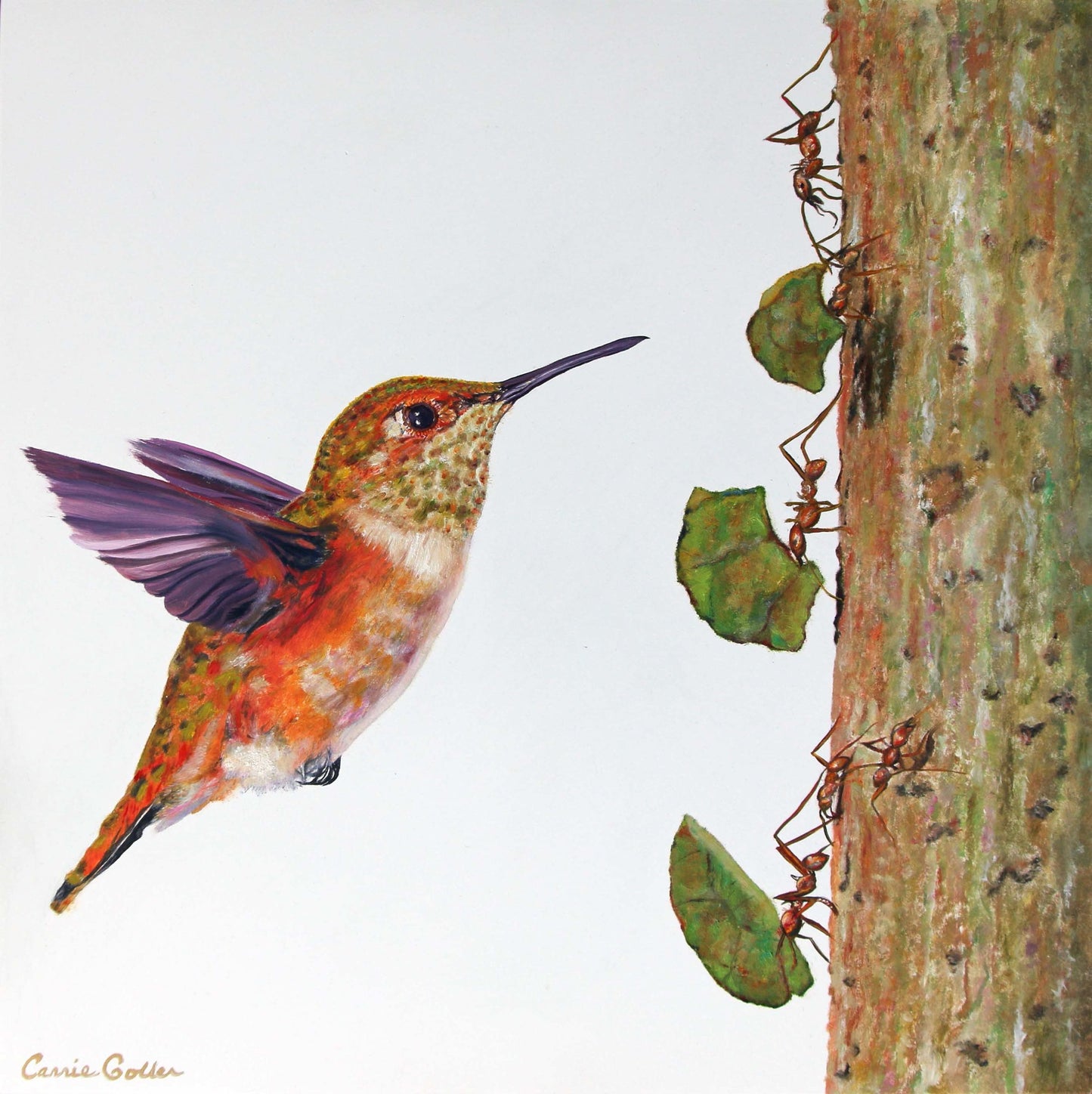 Inspector Paisley - CARRIE GOLLER PRINTS - BIRDS