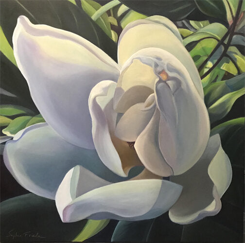 ***SOLD*** SOPHIE FRIEDA - Enveloped, oil 36x36