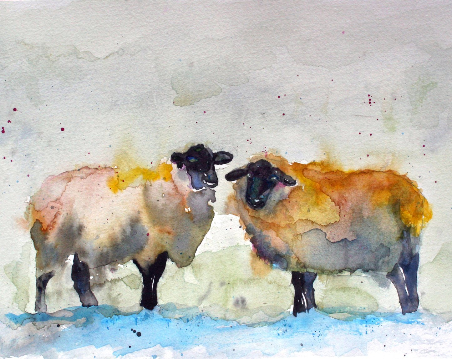 CARRIE GOLLER PRINTS - CREATURES - JUDGING EWE  original watercolor, 8x10