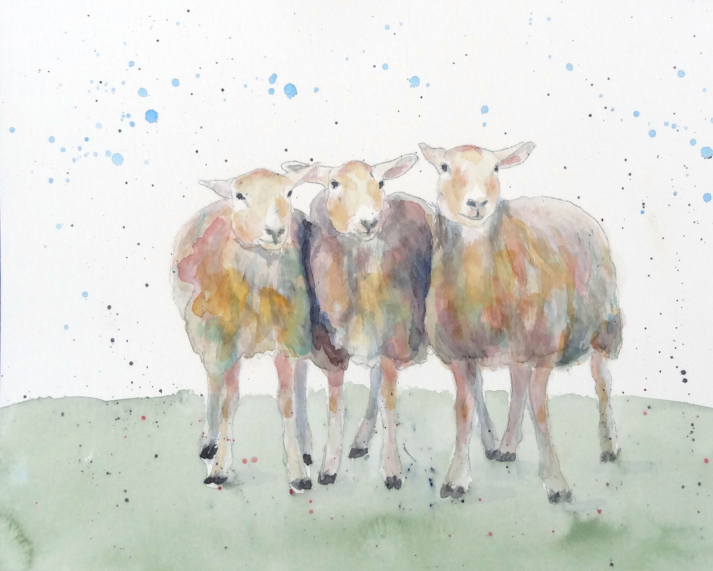 CARRIE GOLLER PRINTS - CREATURES  JUDGING EWE VII    original watercolor, 8x10