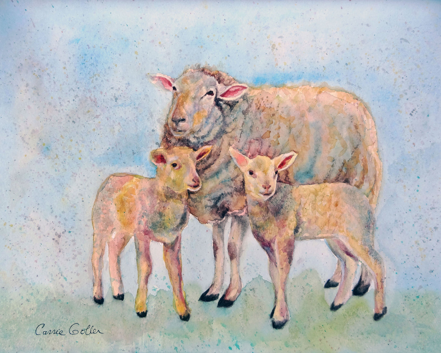 CARRIE GOLLER PRINTS - CREATURES - JUDGING EWE VIII   original watercolor, 8x10