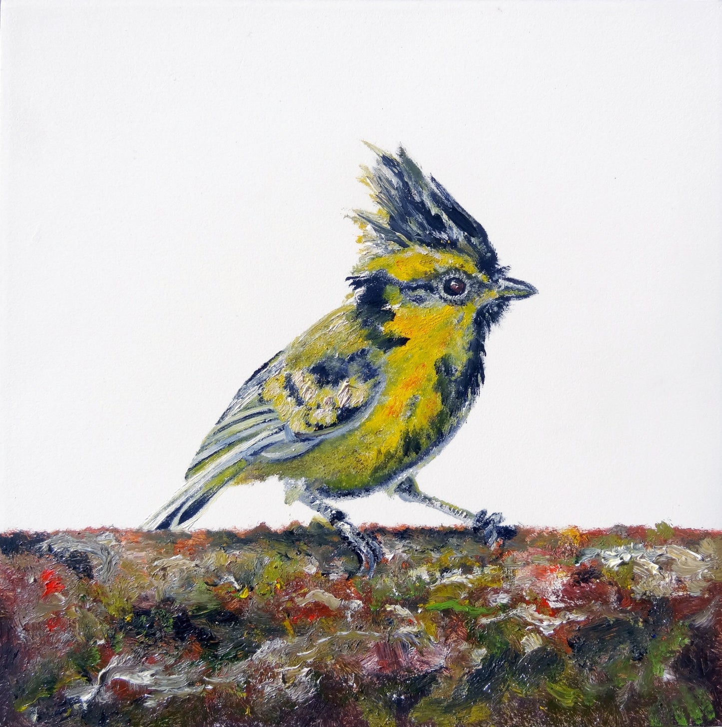 Junior - CARRIE GOLLER PRINTS - BIRDS