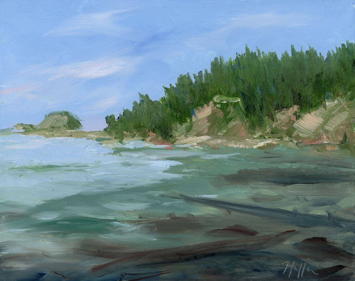 TIM PFEIFFER - Kalaloch Beach 1, oil on archival wood panel 8x10 (framed)