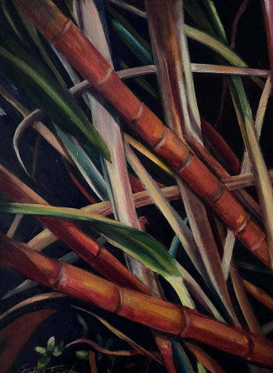 SOPHIE FRIEDA - Kauai Bamboo, Oil on canvas 18x24