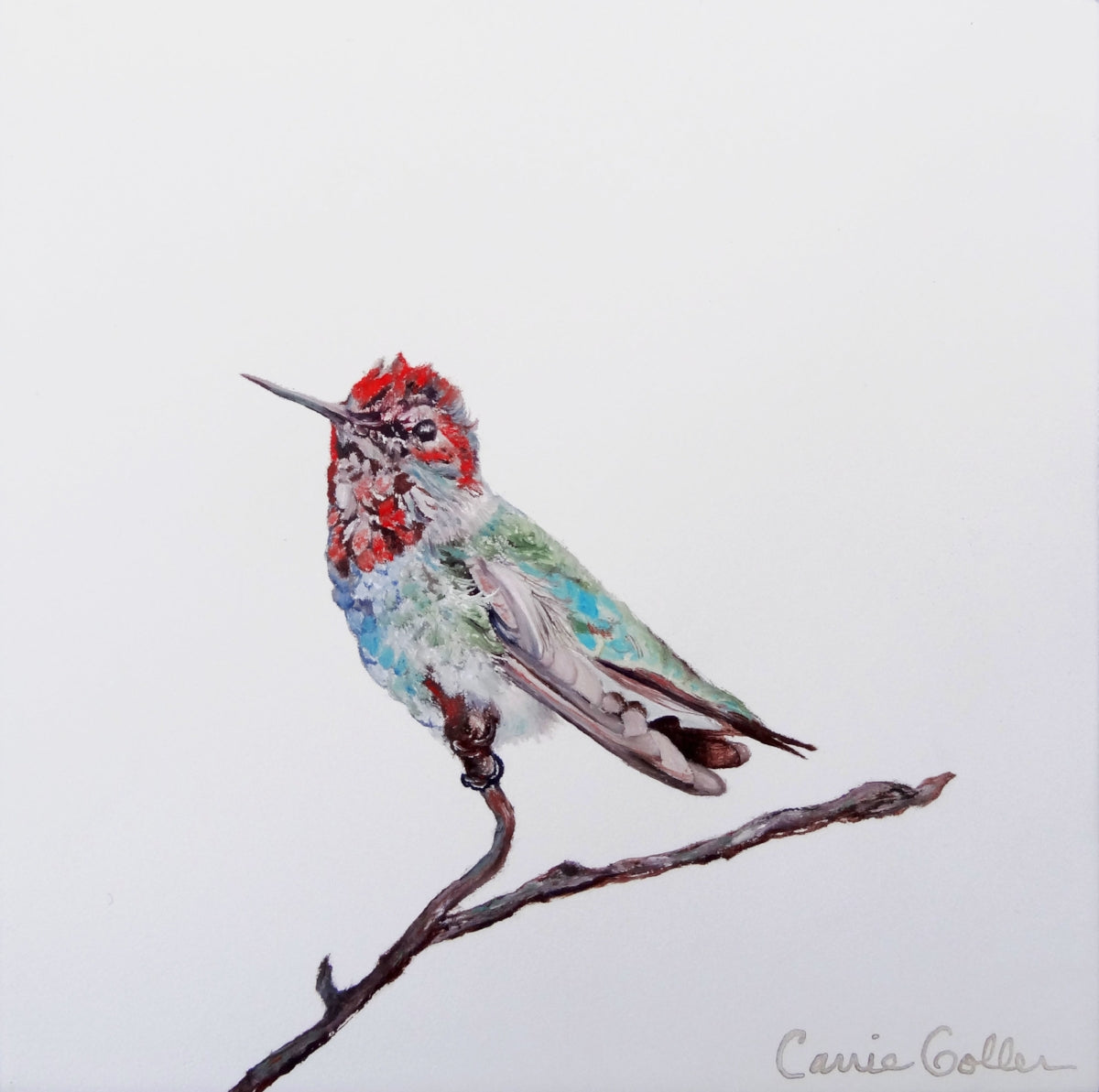 Laguna - CARRIE GOLLER PRINT - BIRDS