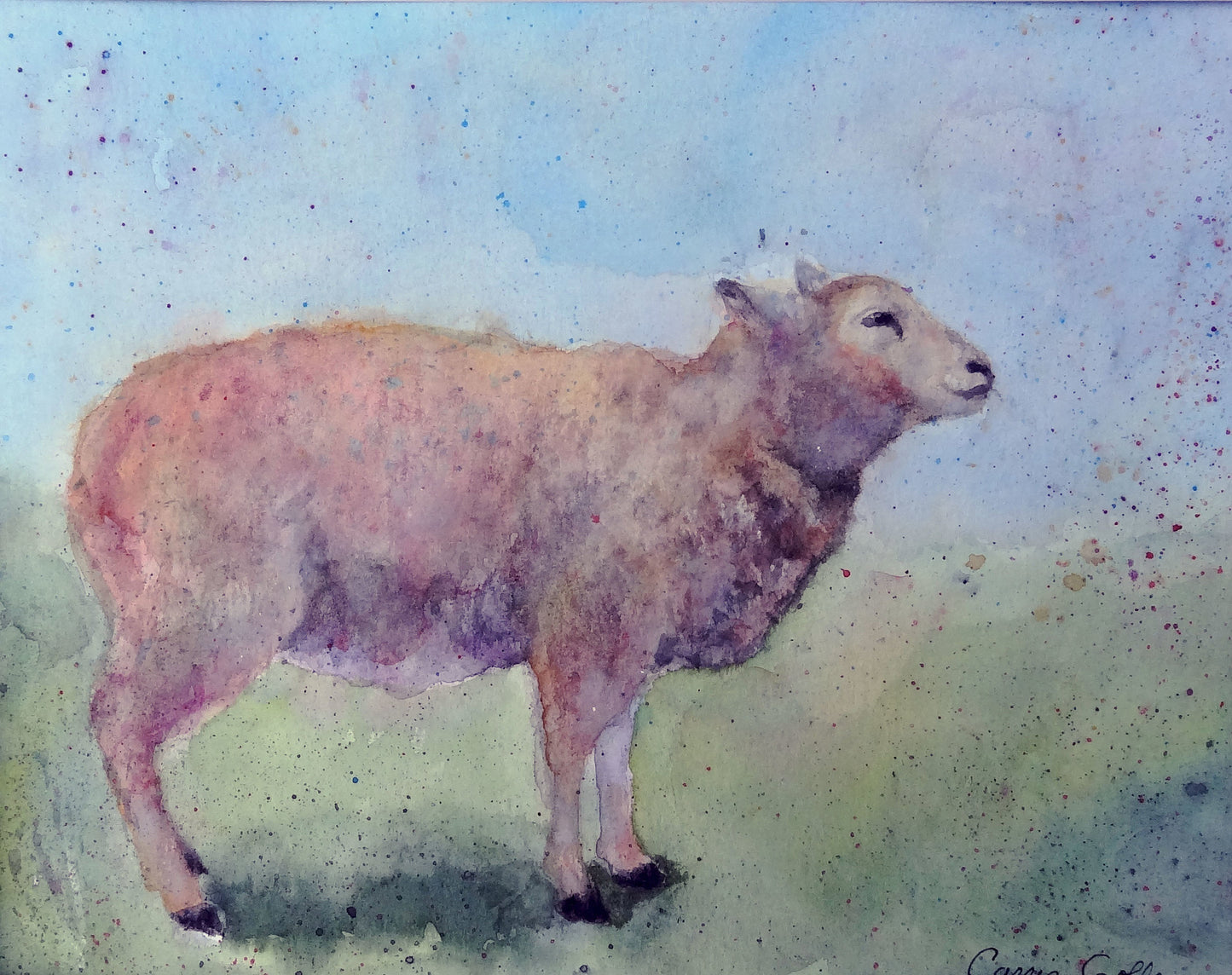 Prints available, original ***SOLD*** Lamb II - original 9x12 watercolor