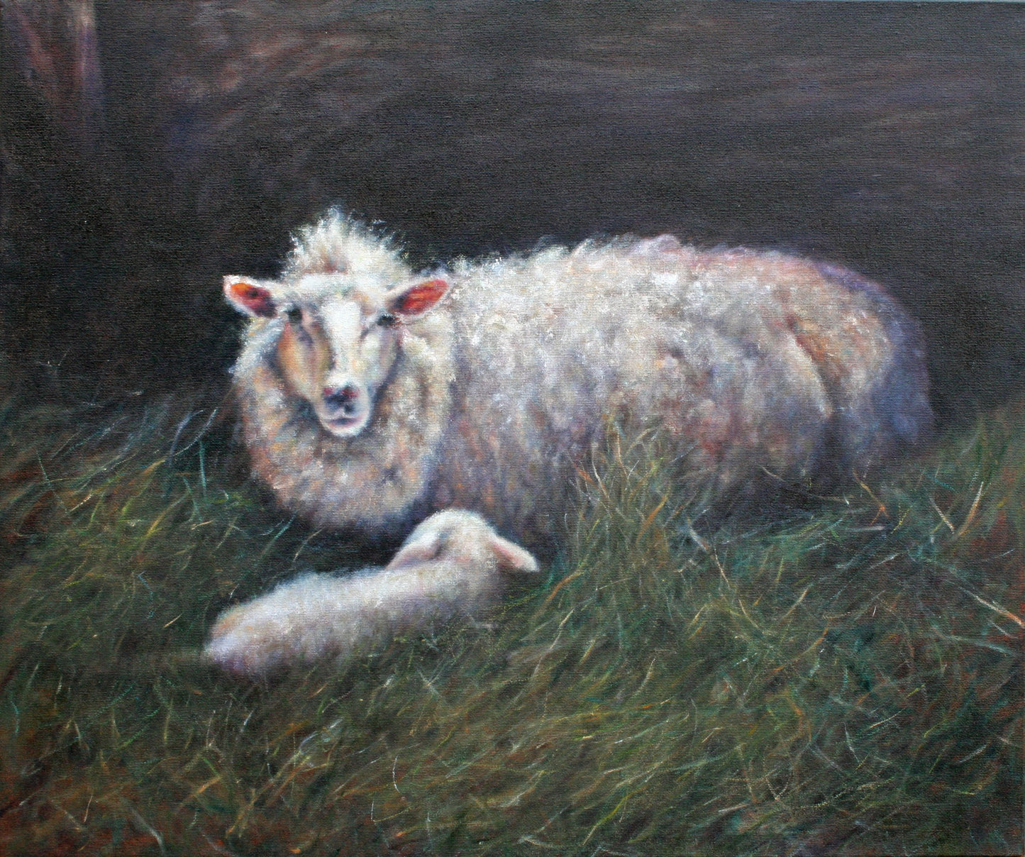 Custom : Creature Portraits by Carrie Goller
