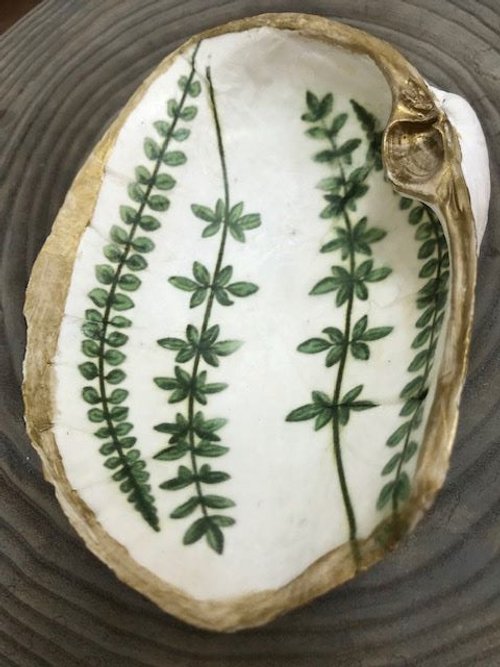 ***SOLD***Hood Canal Seashell - Geoduck shell with 18k Gold Trim - Carrie Goller