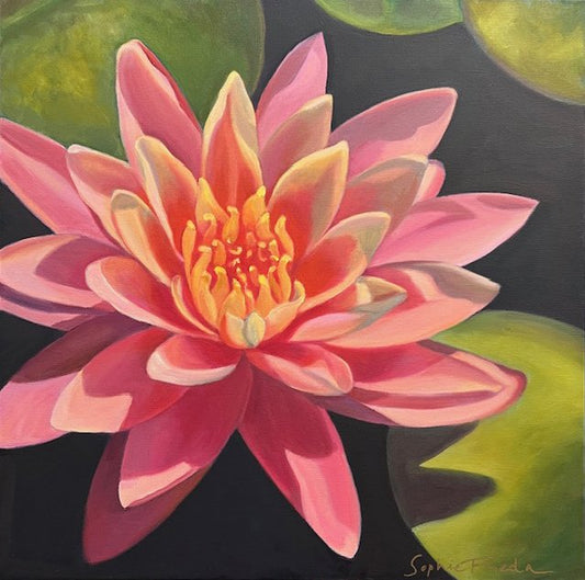 SOPHIE FRIEDA - Magical II, 25.5x25.5 Oil on canvas