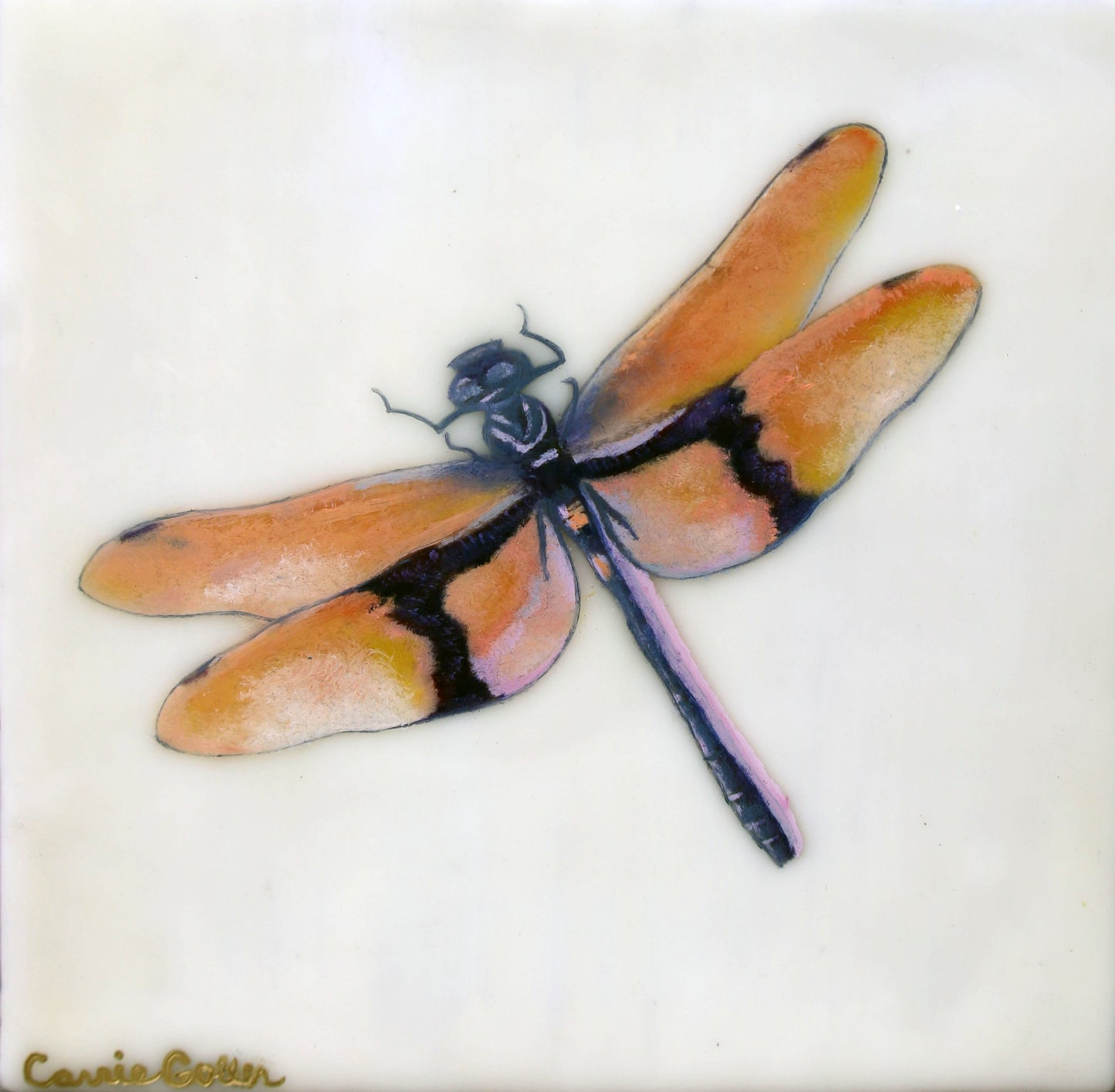 Prints available, original ***SOLD*** Carrie Goller - Maxine, Encaustic/Mixed Media - 8x8