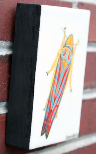 Prints available, original ***SOLD*** Carrie Goller - MicMac Jack, Encaustic/Mixed Media 7x5 - AVAILABLE AT BAINBRIDGE ISLAND MUSEUM OF ART GALLERY STORE