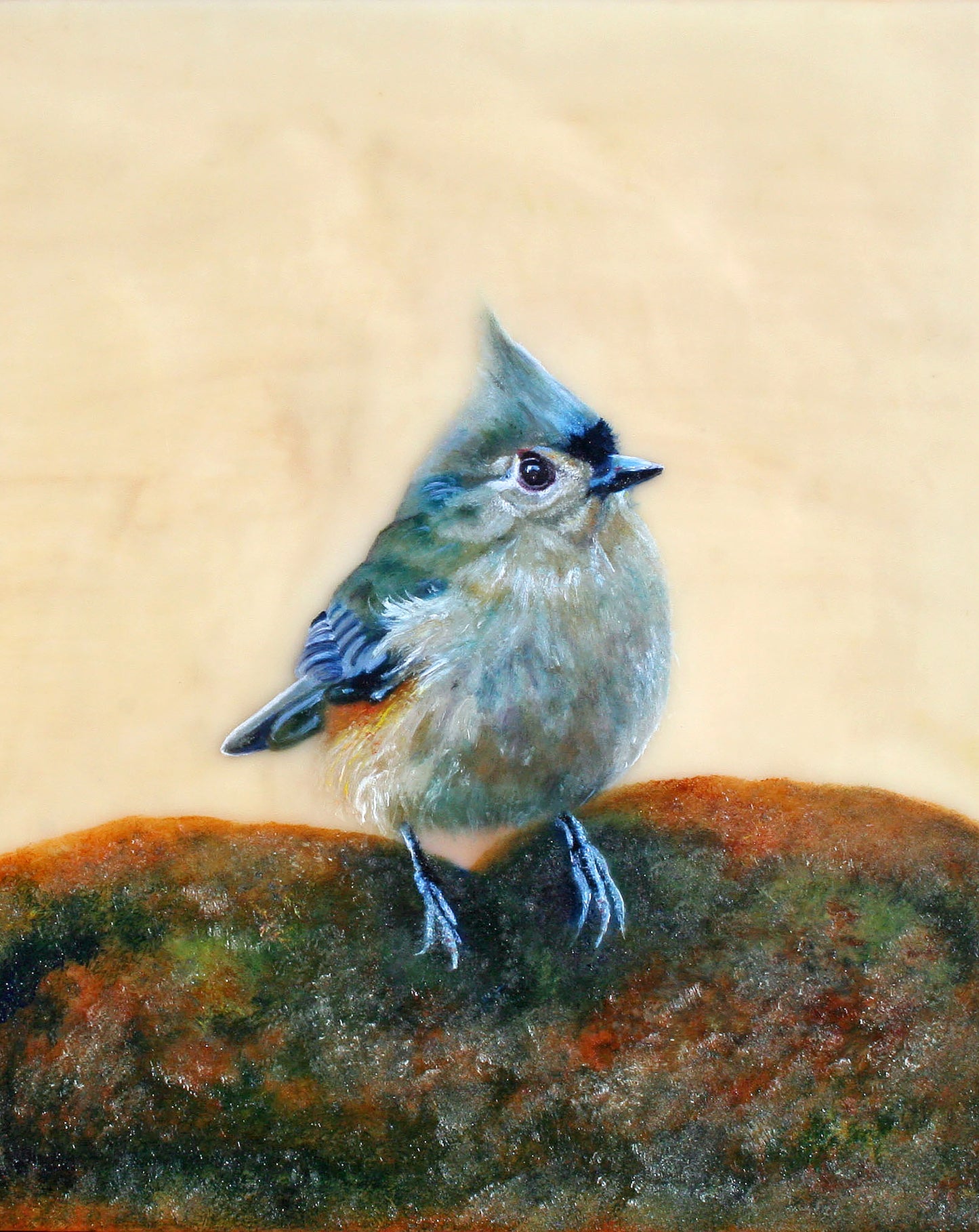 CARRIE GOLLER  PRINTS - BIRDS - MOHAWK 2    original oil/encaustic, 8x10