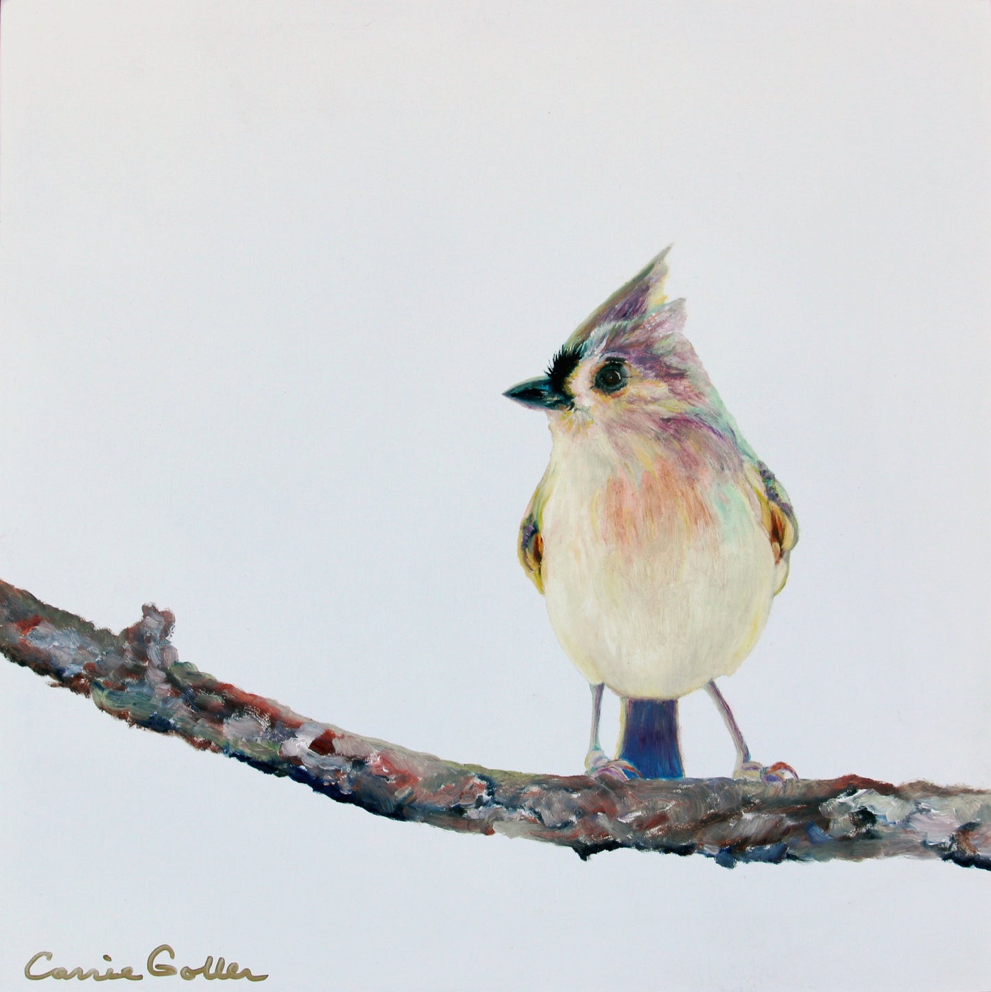 CARRIE GOLLER PRINTS - BIRDS - MOHAWK II original oil, 12x12