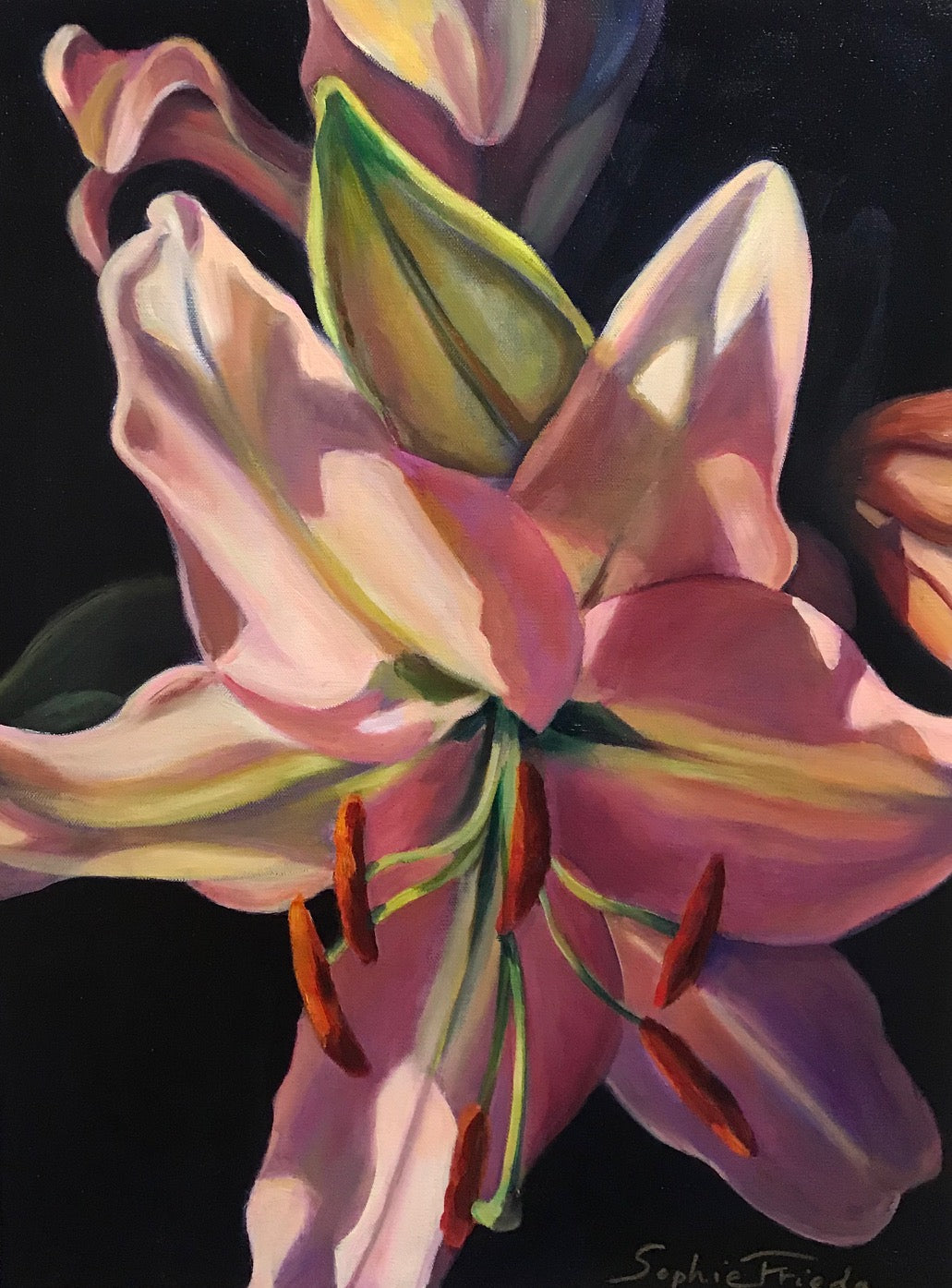 ***SOLD*** SOPHIE FRIEDA - Morning Glory - Oil on Gallery Wrapped Canvas - 24 x 20 x 1.5