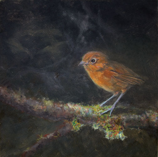 Prints available, original ***SOLD*** Carrie Goller - Mossback, oil 10x10