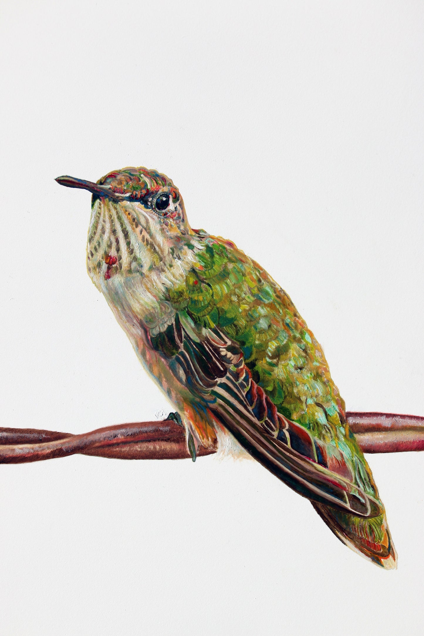 Myrtle - CARRIE GOLLER PRINTS - BIRDS
