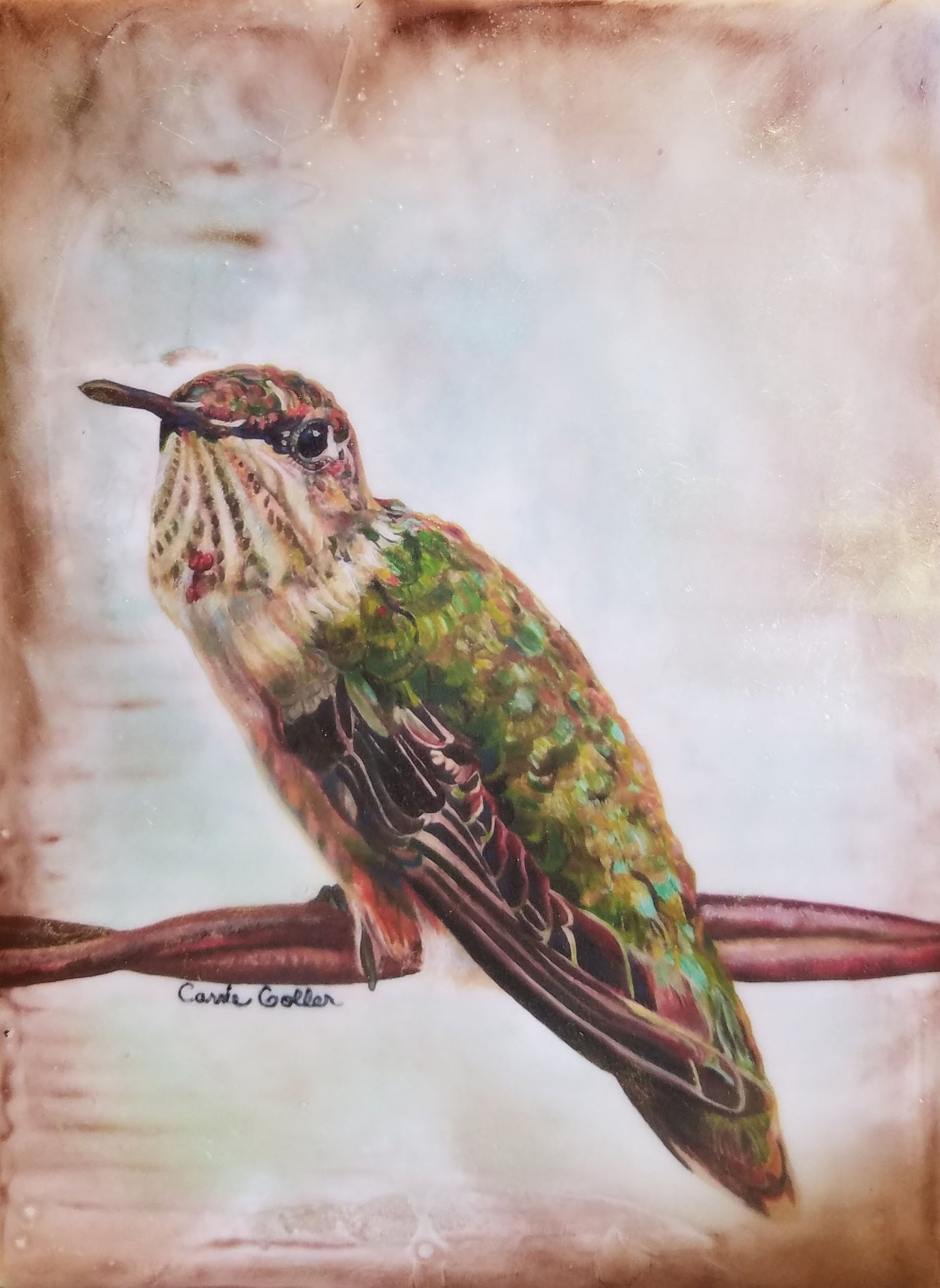 Prints available, original ***SOLD*** Myrtle Encaustic Print - 7x5 on a 1.5" thick wood block