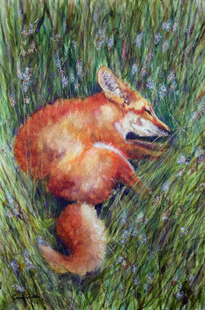 CARRIE GOLLER PRINTS-CREATURES - NESTLED    Encaustic original 24x18