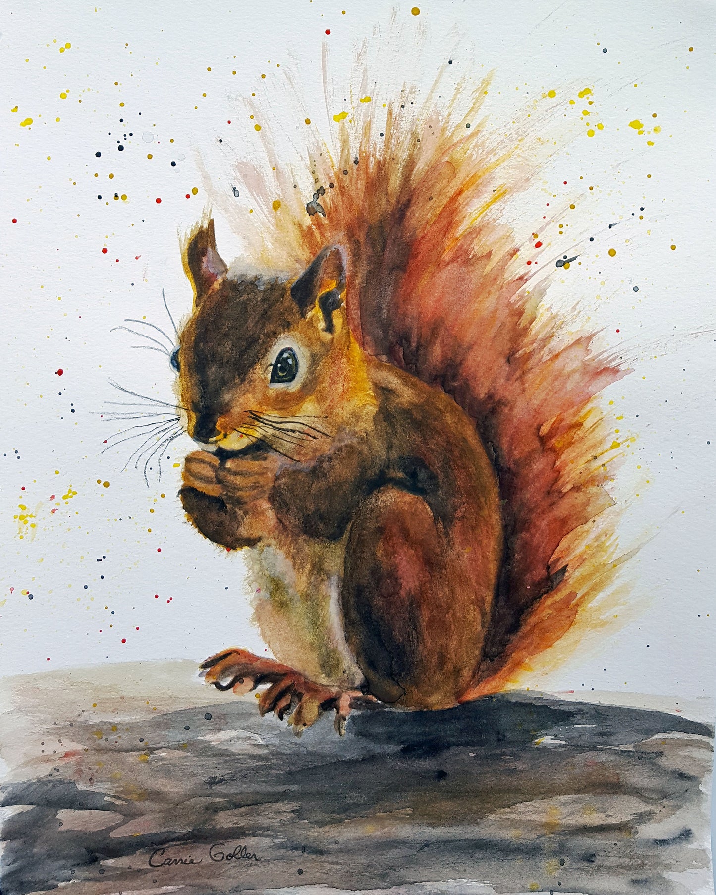 CARRIE GOLLER PRINTS - CREATURES -  NUTKIN     original watercolor, 10X8