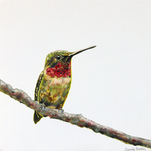 Prints available, original ***SOLD*** Carrie Goller - Olive - Oil 12x12 on wood panel