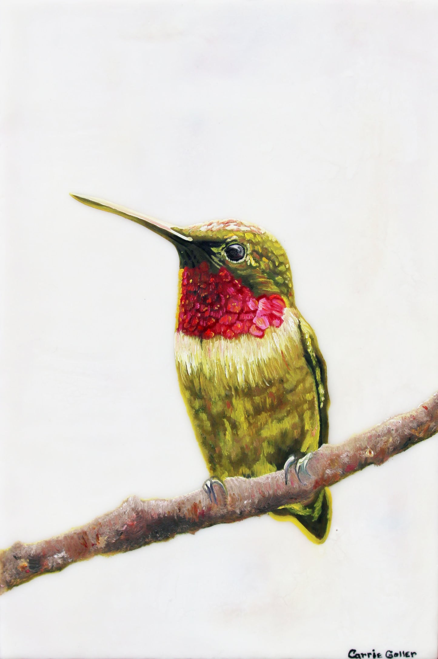 CARRIE GOLLER PRINTS - BIRDS - OLIVER original oil, 13X9