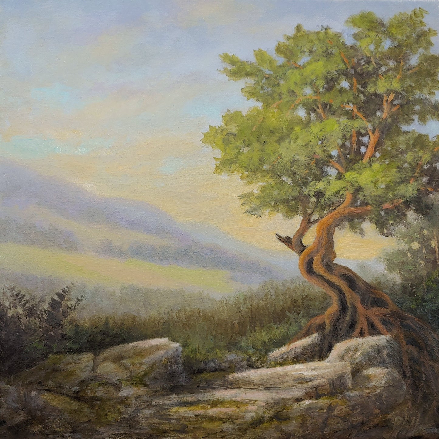 TIM PFEIFFER - On the Edge, oil 12x12 (framed)