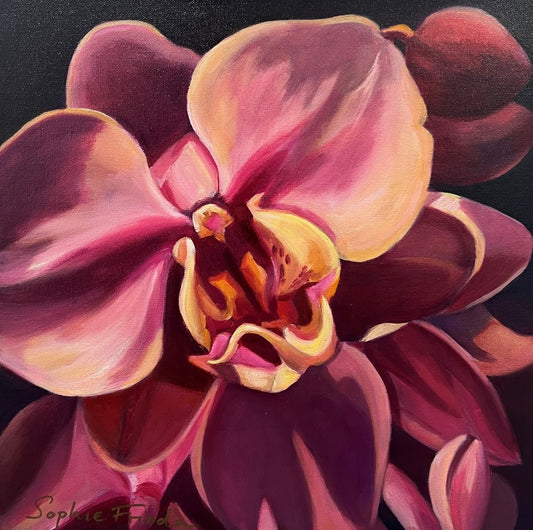 SOPHIE FRIEDA - Opulent Orchid, oil on canvas, 16x16