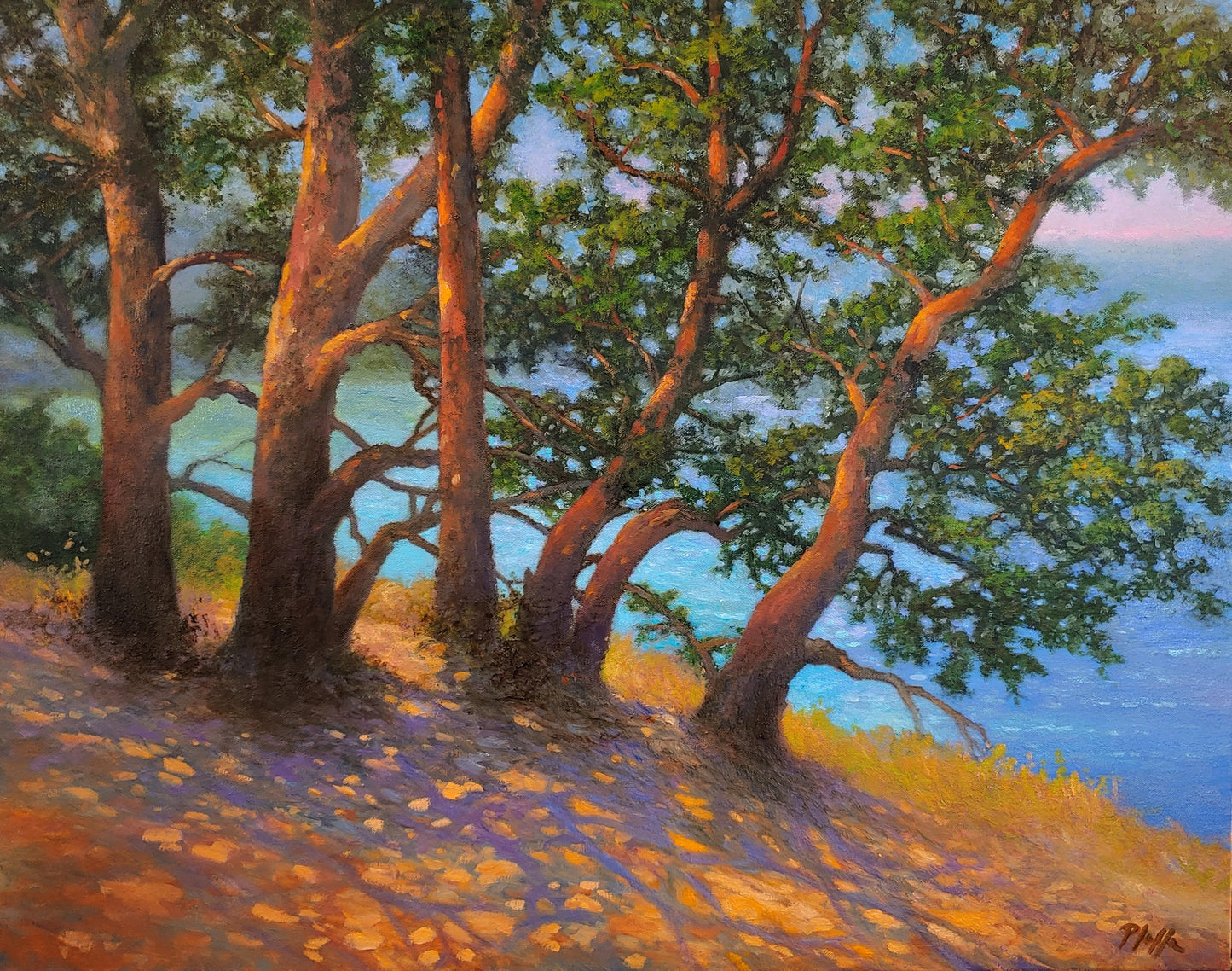 ***SOLD*** TIM PFEIFFER - Orcas Island , oil 24x30 (framed)