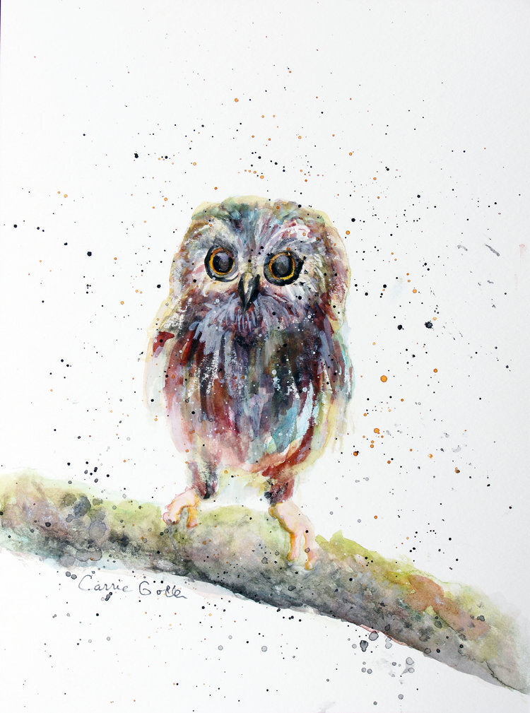 CARRIE GOLLER PRINTS - BIRDS - ORION    original watercolor, 12x8