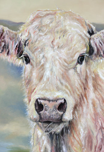 Prints available, original ***SOLD*** Ovedia Noble, oil 48x48