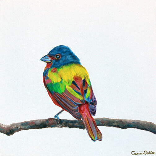 Prints available, original ***SOLD*** Carrie Goller - Painted Bunting - Oil 10x10 on wood panel