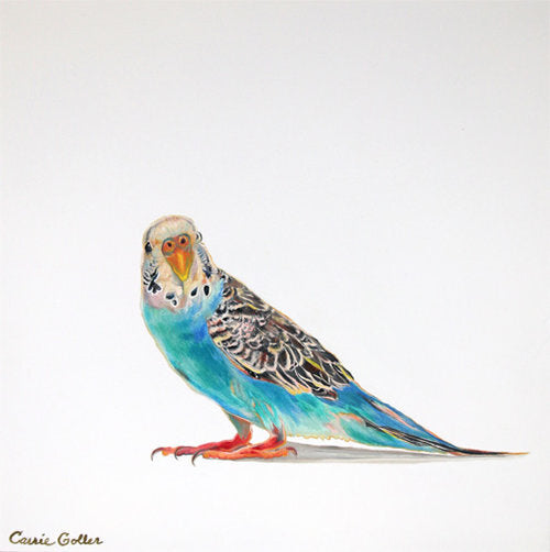 CARRIE GOLLER  PRINTS - BIRDS - PARTLY CLARK   original oil, 12X12