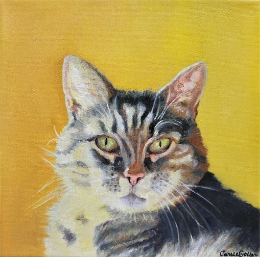 ***SOLD*** Carrie Goller - Pawley, oil 12x12 Custom Commission