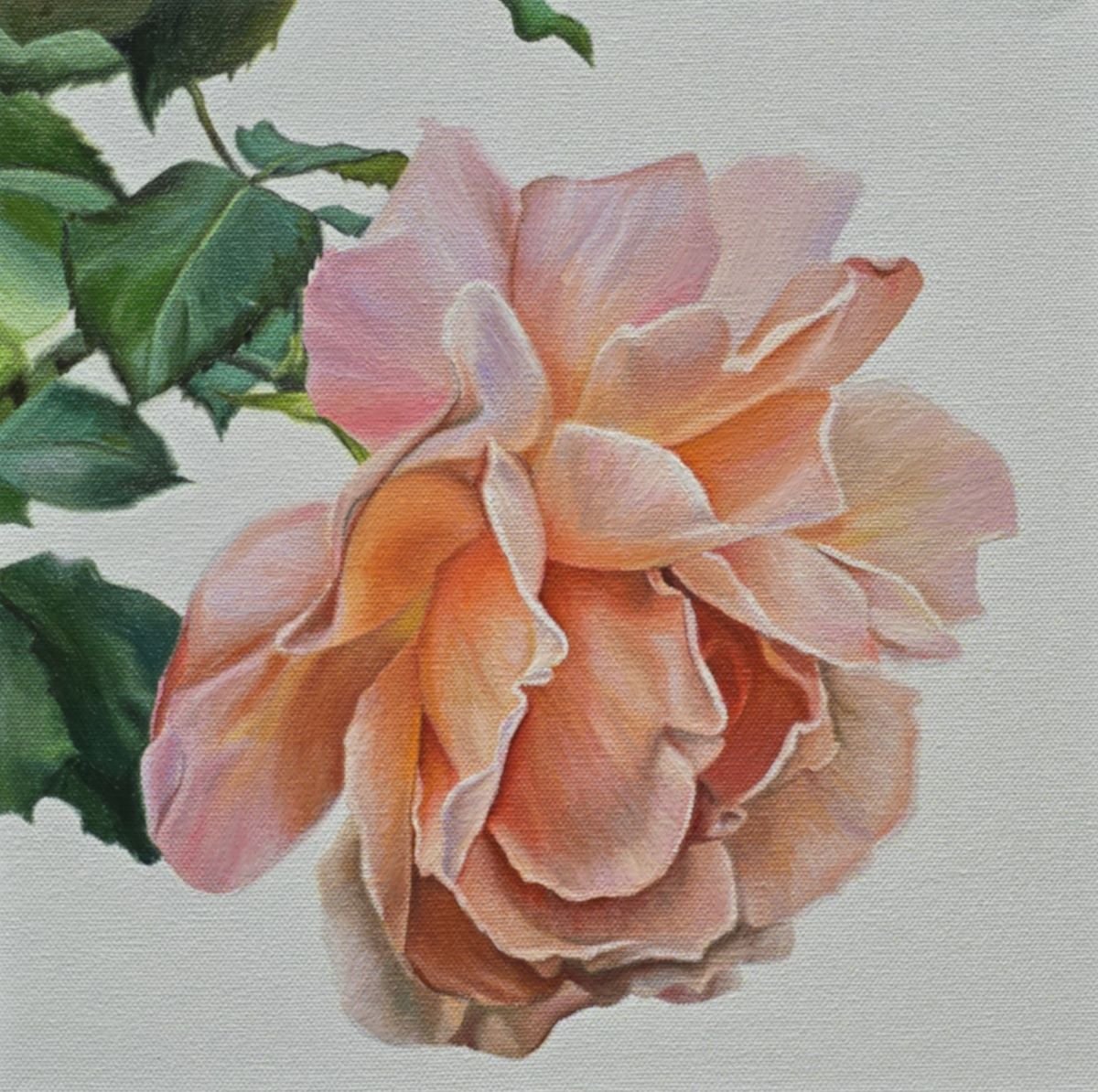 Jody Yashenko - Peachy, Oil on gallery wrapped canvas, 12x12