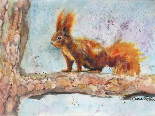 CARRIE GOLLER - Peewee, encaustic/watercolor 9x12