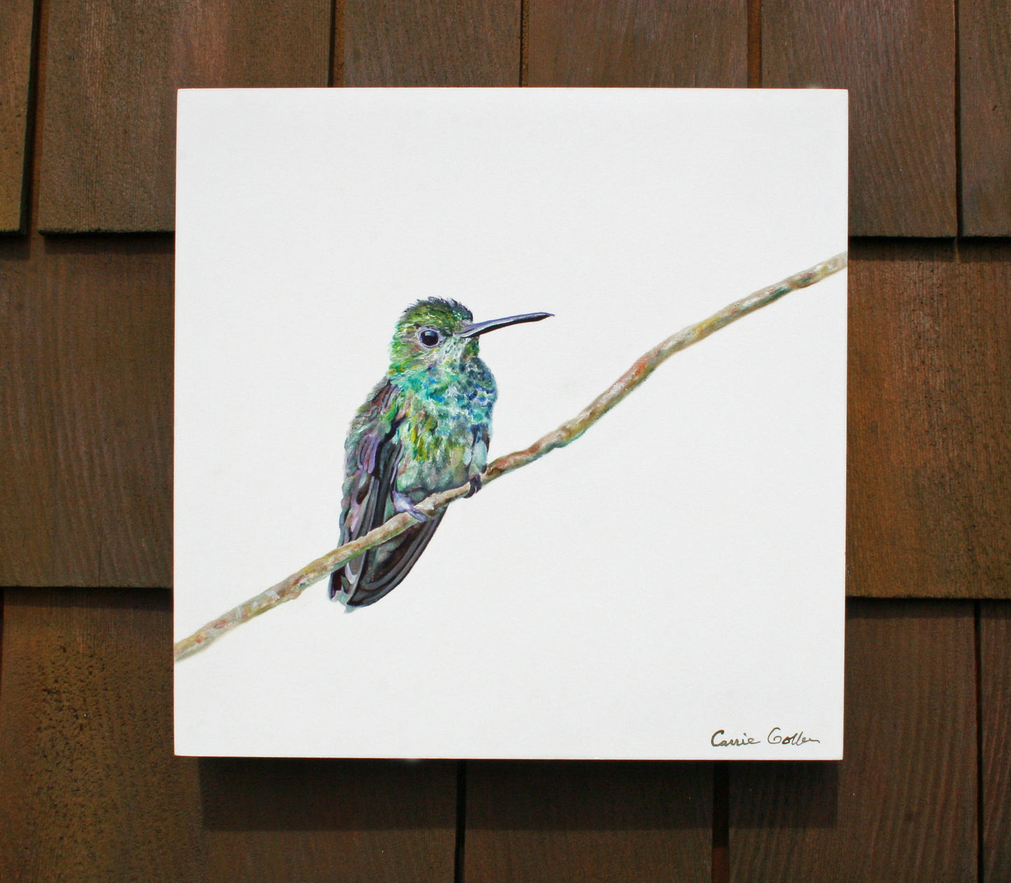 Prints available, original***SOLD***Percival - Oil 12x12 - available at Bainridge Island Museum of Art Gallery Store