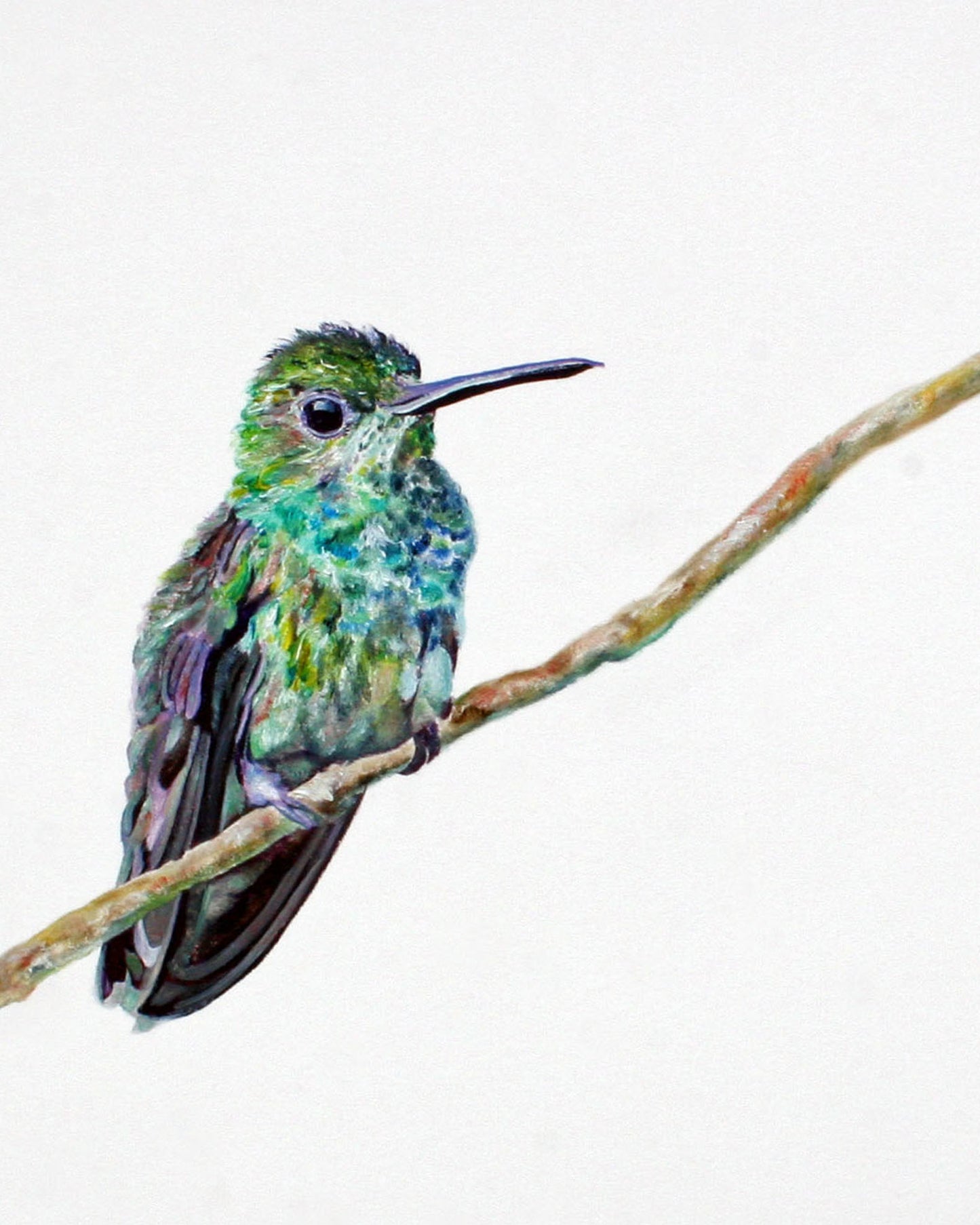 CARRIE GOLLER PRINTS - BIRDS - PERCIVAL     original oil, 8x10