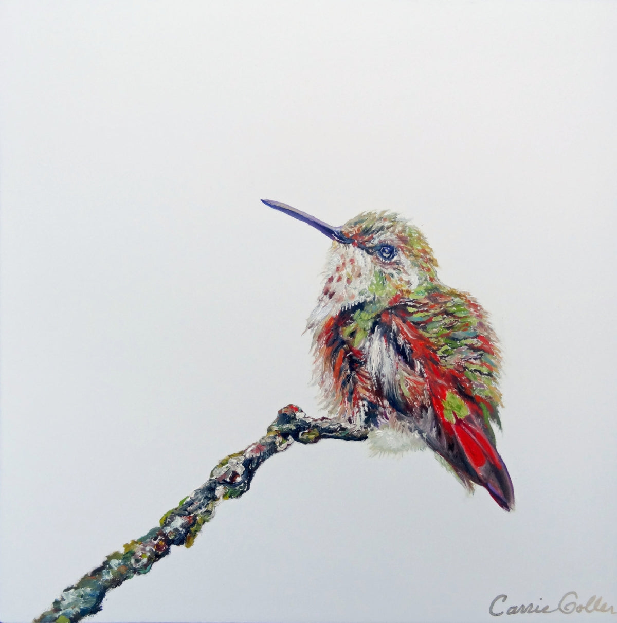 CARRIE GOLLER PRINTS - BIRDS - PLUMIMGDALE original oil, 10x10