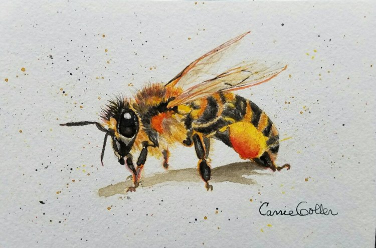 Carrie Goller miniature framed bee prints $25 each